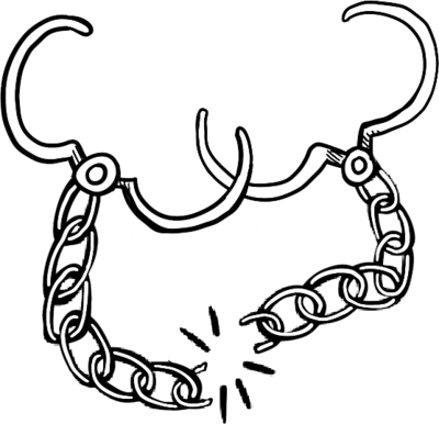 End Mass Incarceration and Police Immunity logo